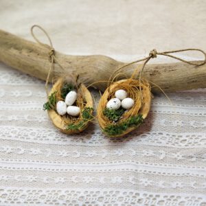 Nest in Walnuss